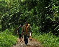 Over 100 wildlife rangers died on duty in past year: WWF