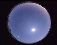 Phoenicid meteor shower from dead comet arises again after 58 years