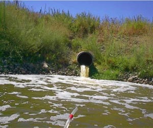 Urban Impacts on Phosphorus in Streams