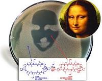 Switching an Antibiotic on and off with Light