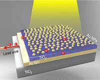 Golden sandwich could make the world more sustainable