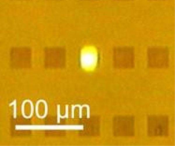 Transforming CO2 into light-emitting carbon