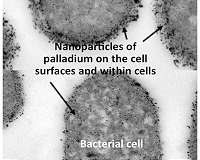 Researchers identify cheaper, greener biofuels processing catalyst