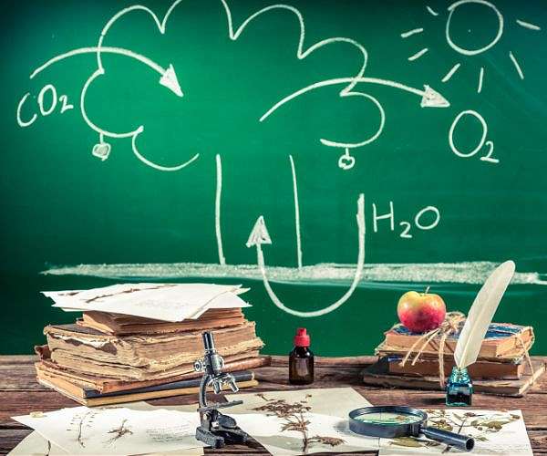 Researchers discover quantum switch for regulating photosynthesis