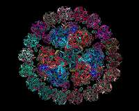 ASU team throws new light on photosynthetic supercomplex structure