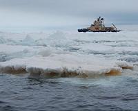 Extra CO2 a boon to plants, but only at low temperatures