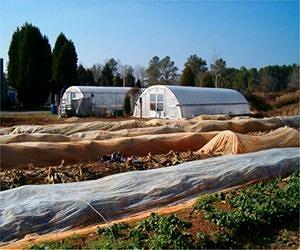 Solar Double Cropping Project