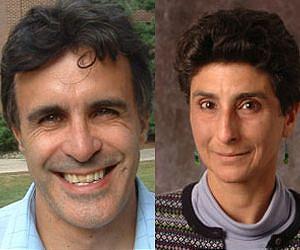 Rutgers Physics Professors Find New Order in Quantum Electronic Material