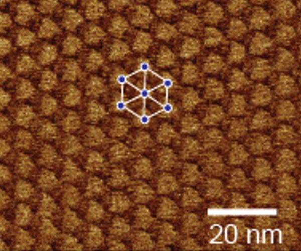 Lasers trigger magnetism in atomically thin quantum materials