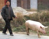 China ready to send more farmers to Africa
