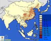 China probably 'covered up' pig disease outbreaks