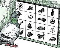 Pigeon power