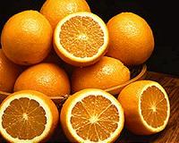 Oak leaves contain potential cure for citrus greening disease