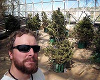 Biosphere 2 Experiment Shows How Fast Heat Could Kill Drought-Stressed Trees