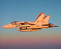 Boeing Submits Combat Aircraft Industrial-Participation Proposal To Indian Government