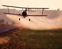 Insecticides that threaten bees also harm damselflies, study finds