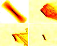 Astronomers Let Gaseous Discs Tiltand Shrink in Virtual Wind Tunnel