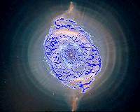 Gaia's first year of scientific observations