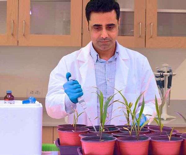 UH trains future agri-scientists to outsmart climate change threats to food crops