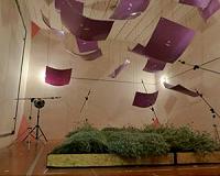 Green walls, effective acoustic insulation