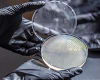 Scientists discover plastic-eating microbe