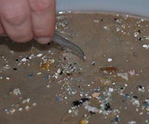 Pacific plastic soup grew 100-fold