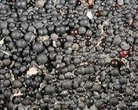 Microplastic pollution discovered in St. Lawrence River sediments