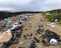 Environmental activists pluck plastic from world's beaches on mass cleanup day
