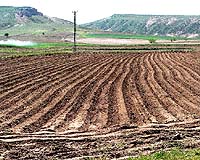 Where Is Your Soil Water