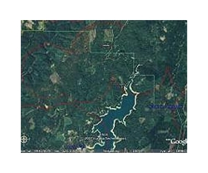Sizing up biomass from space