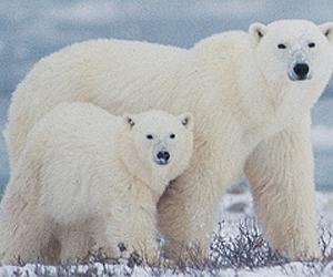 Dire Messages About Global Warming Can Backfire