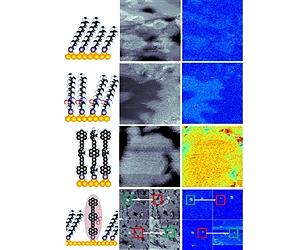 Nanoscale Probe Reveals Interactions Between Surfaces And Single Molecules