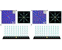 Observation of the phase transition of liquid crystal defects for the first time