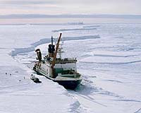 The Antarctic Deep Sea Gets Colder