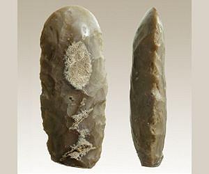 Neolithic Man: The First Lumberjack?