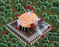 Harnessing microorganisms for smart microsystems