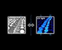 Shining a light on damage within polymers