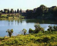 Ponds Found To Take Up Carbon Like World's Oceans