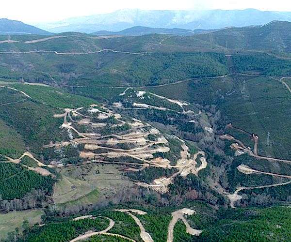 Flower or power? Campaigners fear lithium mine could kill rare plant