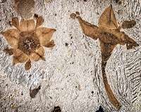 When did flowers originate?