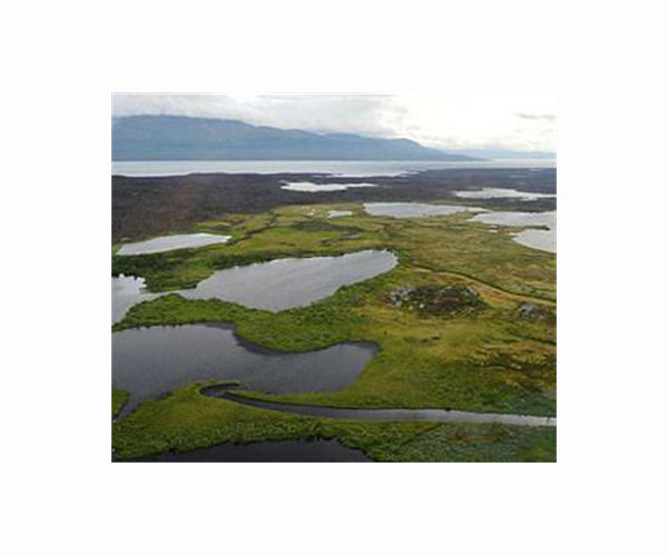Sweden mine would endanger indigenous lands: UN expert