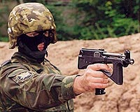 Outside View: Russian cops pack new heat
