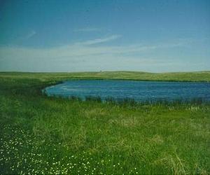 Estimating Ethanol Yields From Conservation Reserve Program Croplands
