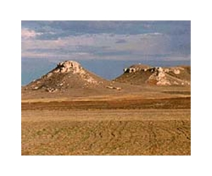 Scientists Study Effects of Rising Carbon Dioxide on Rangelands