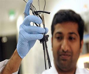 Microbe Power As A Green Means To Hydrogen Fuel Production