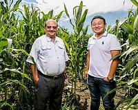 Measure of age in soil nitrogen could help precision agriculture