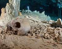 Human settlement in the Americas may have occurred in the late Pleistocene