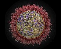 Science at cusp of 'transformational' grasp of life via cell modeling