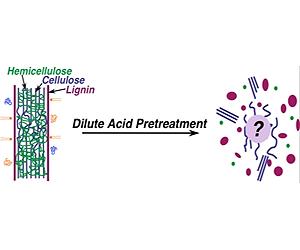 Neutrons Helping ORNL Researchers Unlock Secrets To Cheaper Ethanol
