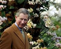 Britain's Charles to skip banquet with Chinese president